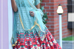Peafowl Bridal Collection Vol 64 Bridal Gown Net Banarasi Silk Design 1065 to 1072 5