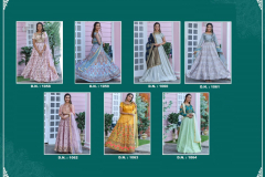 Peafowl Vol 61 Women Wear Bridal Gown Net Banarasi Silk Design 1058 to 1064