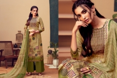 Phulkari Radhika Fashion 35001 to 35010 Series 8