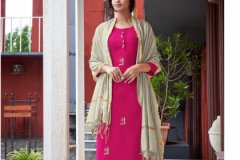 Pink Mirror Treasures Viscose Kurti With Pent & Dupatta Design 1001 to 1006 Series (11)