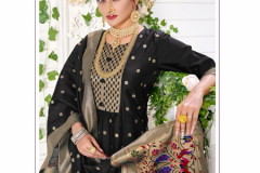 Poonam Designer Paithni Silk Gown With Dupatta Collection Design 1001 to 1006 Series (14)