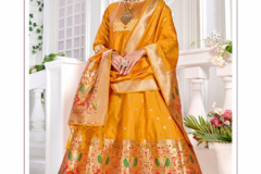 Poonam Designer Paithni Silk Gown With Dupatta Collection Design 1001 to 1006 Series (4)