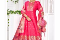 Poonam Designer Paithni Silk Gown With Dupatta Collection Design 1001 to 1006 Series (6)