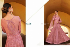 Raazi Verena Net Pakistani Salwar Suit Design 10062 to 10066 Series (11)