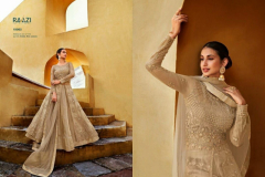 Raazi Verena Net Pakistani Salwar Suit Design 10062 to 10066 Series (5)