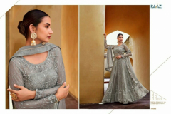 Raazi Verena Net Pakistani Salwar Suit Design 10062 to 10066 Series (8)