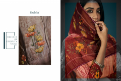 Radhika Fashion Azara Vol 51 Pure Cambric Cotton Salwar Suit Collection Design 6001 to 6008 Series (4)