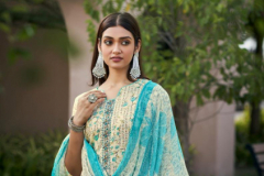 Radhika Fashion Naira Cotton Printed Salwar Suit Collection Design 61001 to 61006 Series (1)