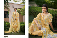 Radhika Fashion Naira Cotton Printed Salwar Suit Collection Design 61001 to 61006 Series (3)