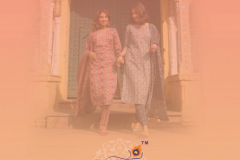 Radhika Lifestyle Cotton Kudi Vol 10 Cotton Kurti With Pant & Dupatta Collection Design 10001 To 10008 Series (12)