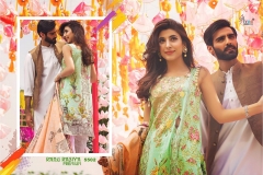 Rang Rasiya Premium By Shree fabs Cotton suits 12