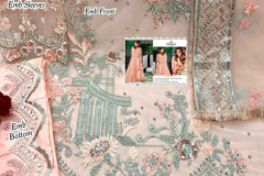 Ramsha R 242NX Butterfly Net Pakistani Salwar Suit Design 242-A to 242-D Series (10)