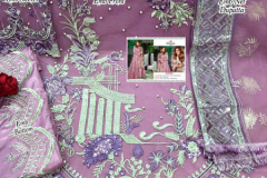 Ramsha R 242NX Butterfly Net Pakistani Salwar Suit Design 242-A to 242-D Series (9)