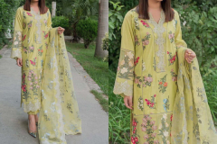 Rinaz Fashion Adan Libas 10 Cotton Salwar Suit Design 11001 to 11004 Series (5)