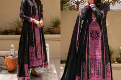 Rinaz Fashion Adan Libas Vol 9 Cotton Pakistani Salwar Suit Design 10001 to 10004 Series (3)