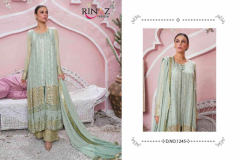 Rinaz Fashion Blockbluster Vol 17 Salwar Suit Design 1241 to 1245 Series (4)