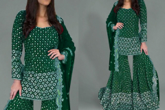 Rinaz Fashion D.No 1270 Colours Pakistani Salwar Suit Design 1270-A to 1270-E Series (3)