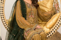 Rinaz Fashion Navrang Vol 1 Georgette Pakistani Salwar Suit Design 11001 to 11005 Series (1)