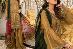Rinaz Fashion Navrang Vol 1 Pakisatni Salwar Suit Design 11001 to 11005 Series (2)