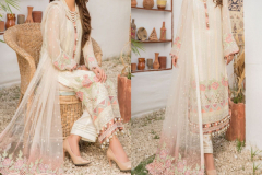 Rinaz Fashion Navrang Vol 1 Pakisatni Salwar Suit Design 11001 to 11005 Series (8)