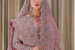 Rinaz Fashion Rim Zim Vol 04 Premium Bridal Collection Pakisthani Suits Design 5001 to 5005 2