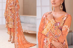 Rinaz Ramsha Vol 11 Paskistani Salwar Suit Design 14001 to 14004 Series (7)