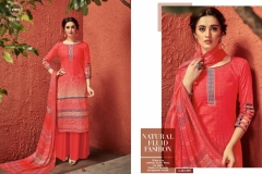 Ritika Harshit Fashion hub 3