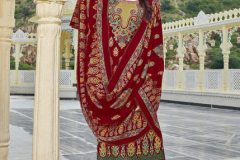 Roli Moli Creation Elite Pashmina Salwar Suit Design 2001 to 2006 Series (5)