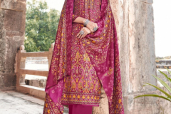 Roli Moli Creation Gulnar Pashmina Salwar Suit Design 1001 to 1006 Series (5)