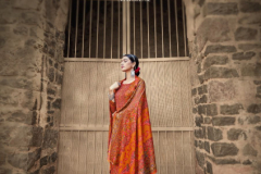 Roli Moli Creation Gulnar Pashmina Salwar Suit Design 1001 to 1006 Series (1)