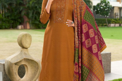 Roli Moli Creation Kaushiki Pashmina Salwar Suit Design 1001 to 1008 Series (14)