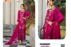 Rosemeen Cross Culture Fepic 71001 to 71006 Series 1