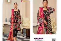 Rosemeen Cross Culture Fepic 71001 to 71006 Series 6