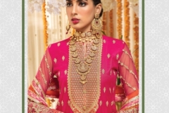 Saniya Trendz Anaya Luxury Collection 1001 to 1004 Series (8