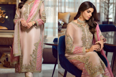 Serine S-93 Georgette With Embroidery Work Pakistani Salwar Suits Design 93 Series (1)