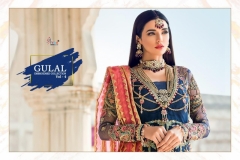 Shree Fab Gulal Embroidery Collection Vol 4 2161 to 2166 Series (3