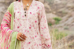 Shree Fabs Sana Safinaz Chaikankari Collection Cotton Pakistani Salwar Suits Design 3227 To 3232 Series (1)
