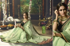 Shreya Vol 2 Fancy Fabrics Ardhangini Sarees 3