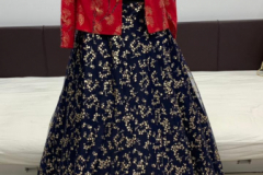 Shubhkala Bridesmaid Vol 09 Net Cotton Silk Lehenga Choli Collection Design 1501 to 1506 11