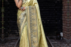 Shubhvastra Maharani Vol 01 Banarasi Silk Saree Design 5201 to 5207 10