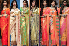 Shubhvastra Maharani Vol 01 Banarasi Silk Saree Design 5201 to 5207 17
