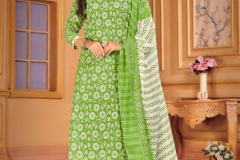 SKT Suits Aarohi Vol 02 Soft Mal Cotton Digital Print Salwar Suits Collection Design 73001 to 73008 Series (3)