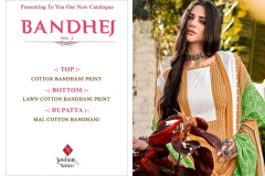 Tanishk Fashion Bandhej Vol 02 Pure Cotton Bandhani Print Salwar Suit Collection Design 8101 to 8108 Series (13)