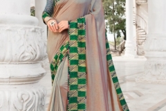 Varsiddhi Mintorsi Saree 4