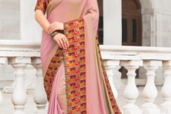 Varsiddhi Mintorsi Saree 9