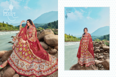 Virasat Heer Patola Designer Gown Design 1001 to 1004 Series (12)
