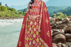 Virasat Heer Patola Designer Gown Design 1001 to 1004 Series (14)
