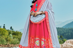Virasat Heer Patola Designer Gown Design 1001 to 1004 Series (2)