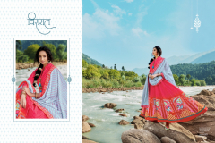 Virasat Heer Patola Designer Gown Design 1001 to 1004 Series (5)