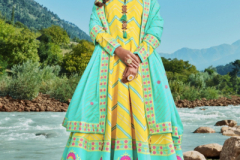 Virasat Heer Patola Designer Gown Design 1001 to 1004 Series (6)